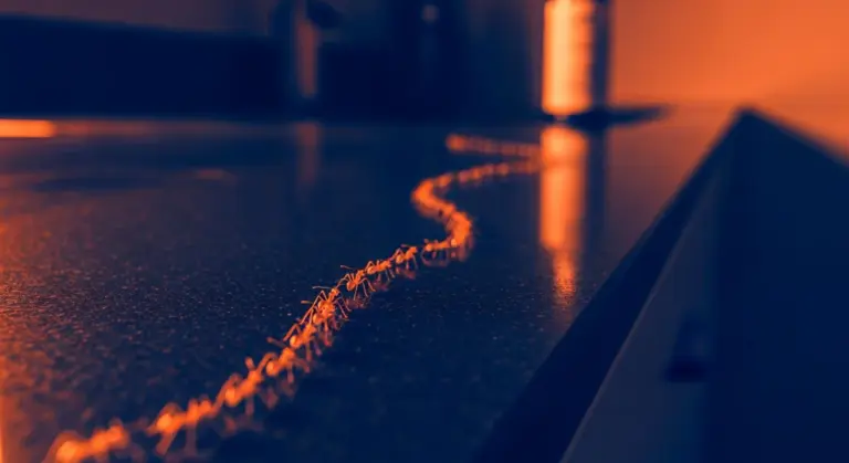 How to Get Rid of Ants in the House: What Really Works?