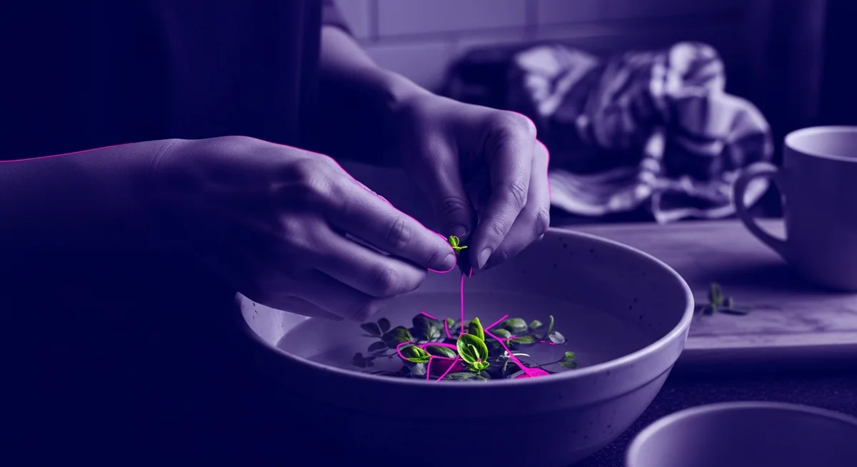 Non-recognisable hands gently preparing delicate ingredients in a duotone photographic treatment of indigo and fuchsia, symbolizing careful preparation.